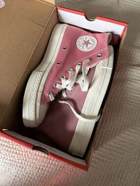 Converse Chuck 70 Hi Tri-Color Night Flamingo Ritual Rose A08783C